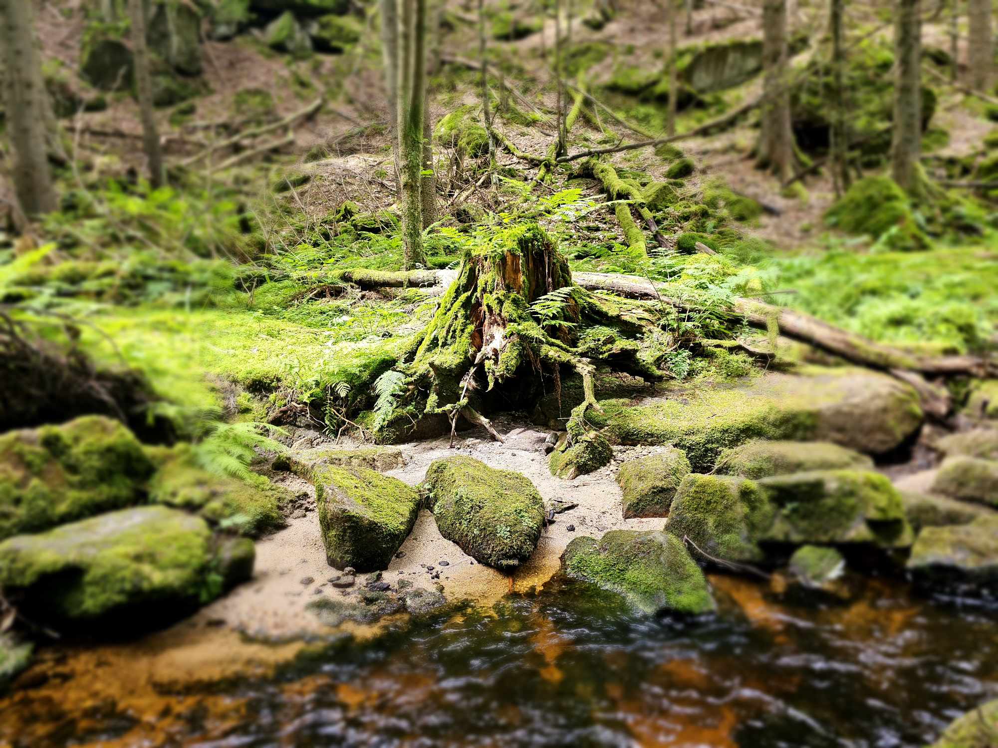 Ahoj, vítej na mém blogu…