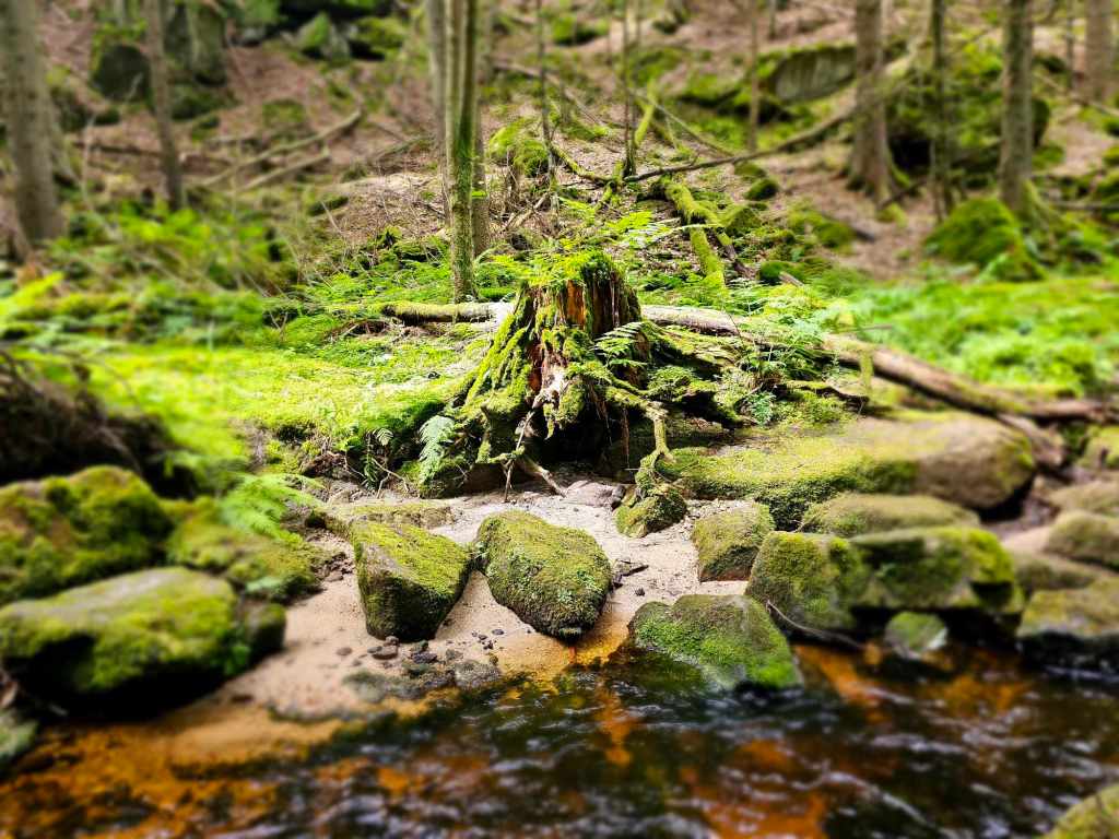 Ahoj, vítej na mém&nbsp;blogu…